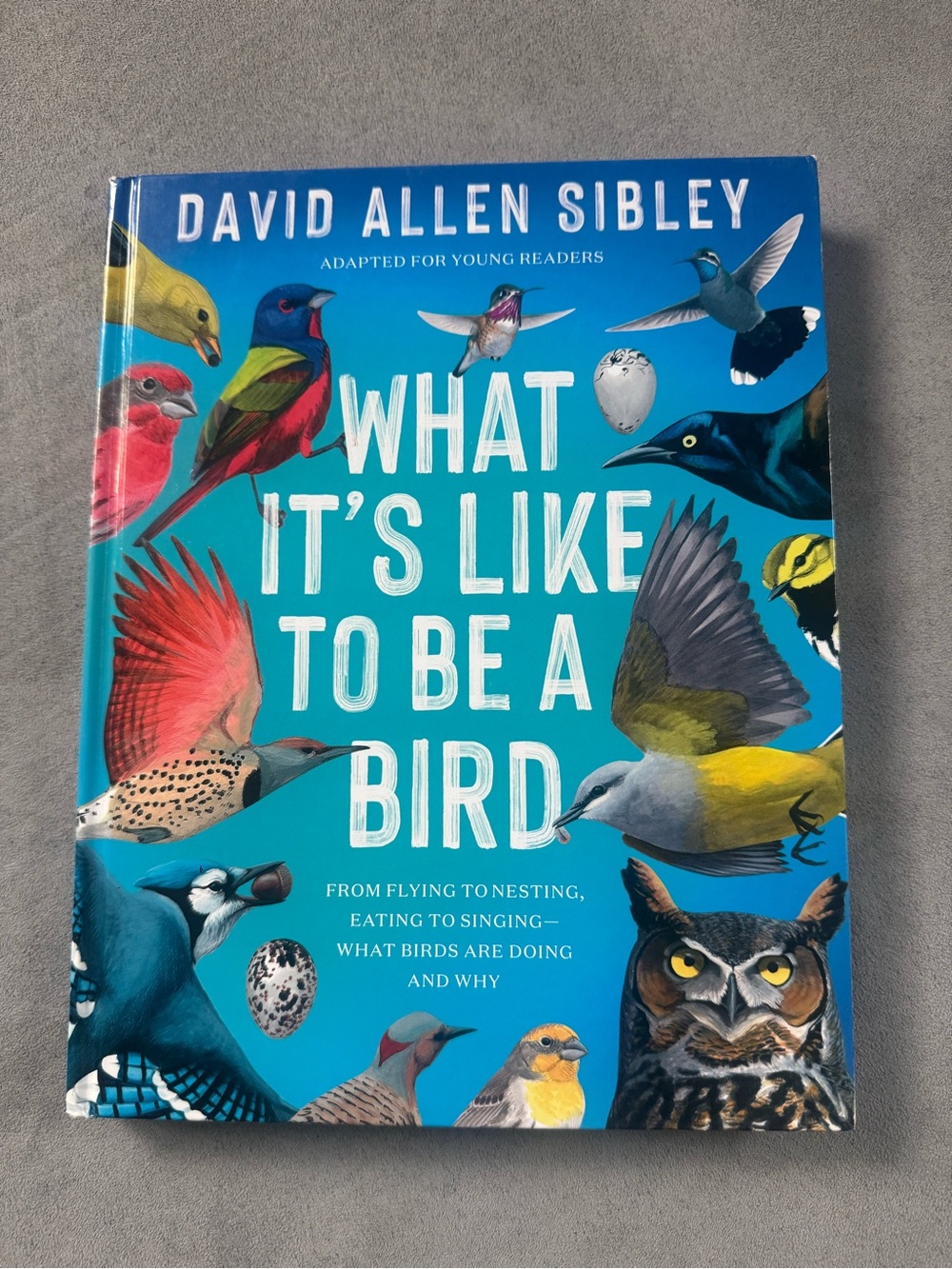 Hardcover ‘What it’s like to be a bird’